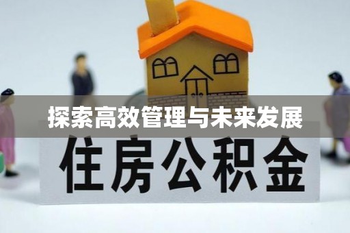 武夷山探索高效管理与未来发展