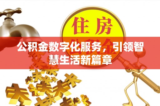 武夷山公积金数字化服务，引领智慧生活新篇章