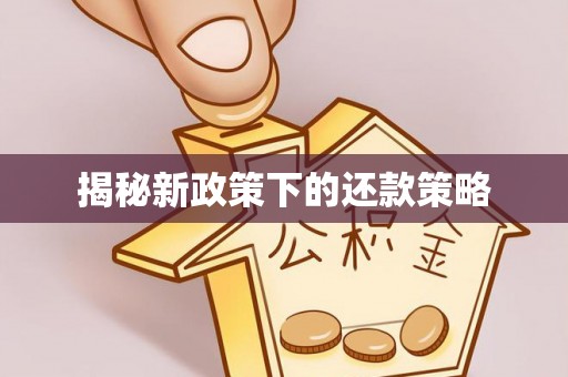 武夷山揭秘新政策下的还款策略