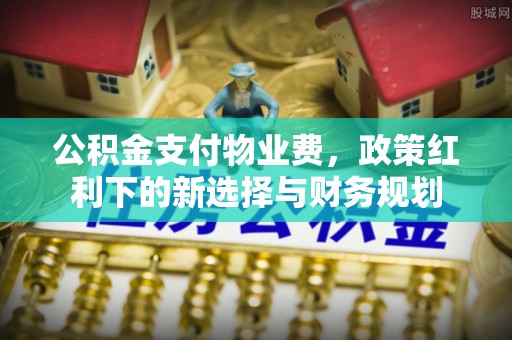 武夷山公积金支付物业费，政策红利下的新选择与财务规划