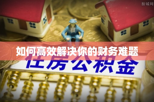 武夷山如何高效解决你的财务难题