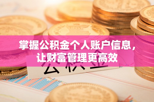 武夷山掌握公积金个人账户信息，让财富管理更高效