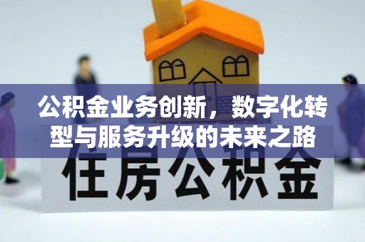 武夷山公积金业务创新，数字化转型与服务升级的未来之路
